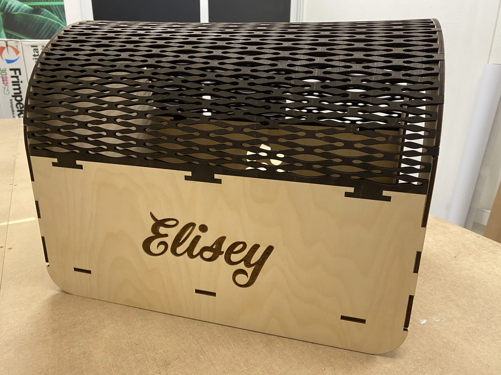 Laser cut pet house with engraved name 'Elisey', showcasing laser engraving service.